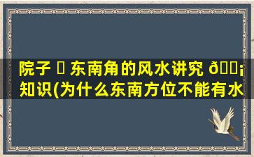 院子 ☘ 东南角的风水讲究 🐡 知识(为什么东南方位不能有水)